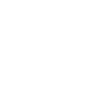 geesiskincare llc